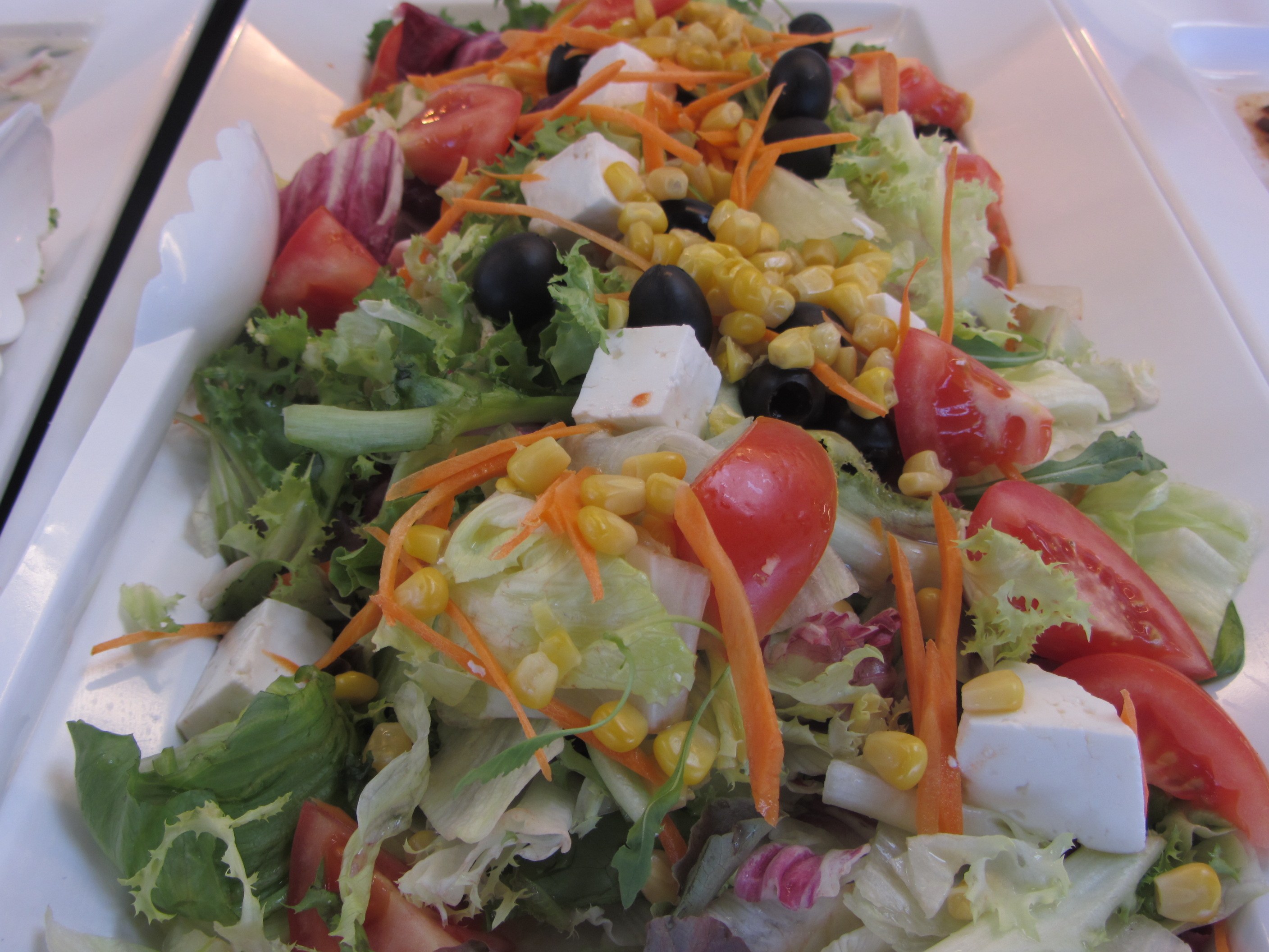 Galería Wok Garden 14