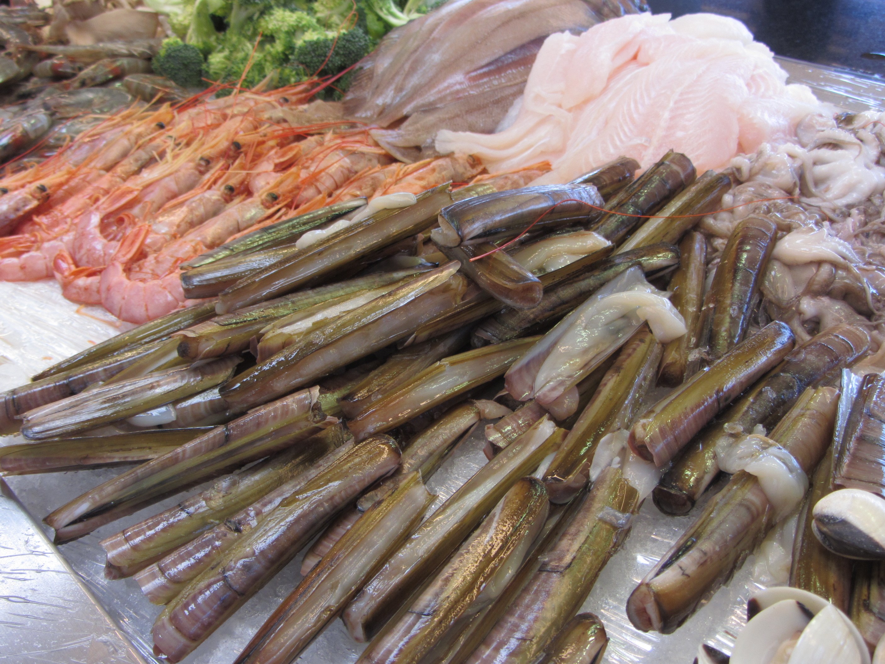 Galería Wok Garden 16