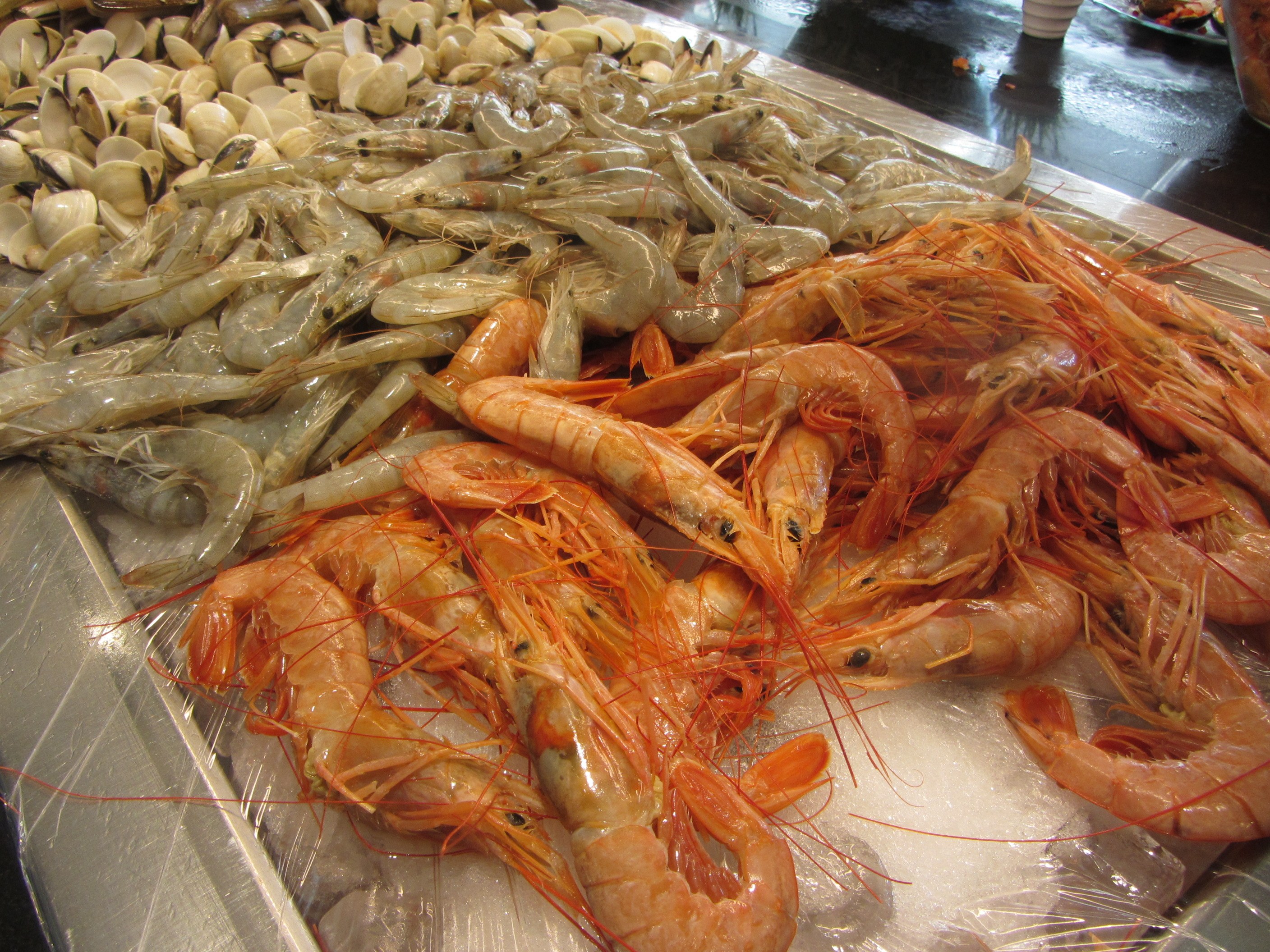 Galería Wok Garden 27