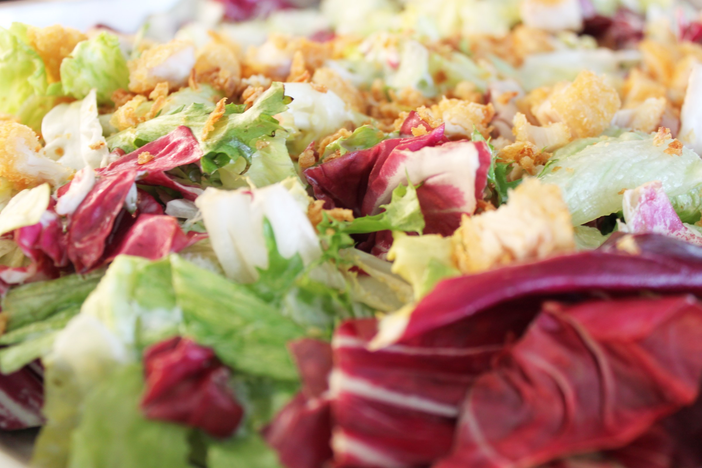 Galería Wok Garden 31